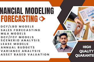 do financial modeling, budgeting, forecasting, and valuation