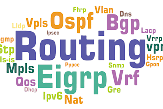 do network routing and switching on multi vendor environment
