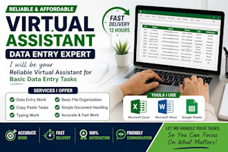 be your virtual assistant for basic data entry at low price