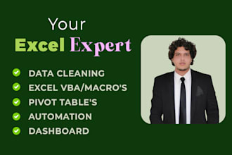 do excel graphs, charts, dashboard, pivot table, data cleaning, PDF to excel