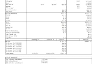 do bank statement reconciliation, paystubs and bookkeeping