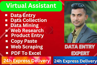 be typing, copy paste, b2b, data collecting and web research for you