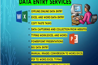 do excel and word data entry