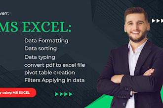 do ms excel data entry, data formatting, PDF to excel file