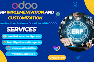 provide odoo erp setup and customization for your business