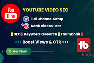 do youtube video SEO to rank your videos fast