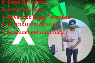 expertly do your excel tasks like data entry, cleaning, formula, lookup, match