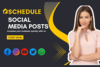 professionally design manage and schedule social media posts