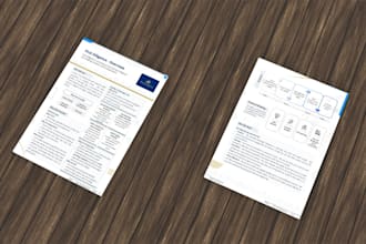 design a 1 to 2 pager PDF white paper, minimalist business teaser, or tear sheet