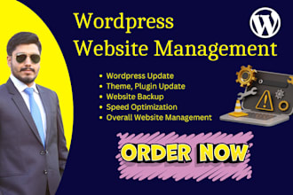 provide wordpress website maintenance, support, and security services
