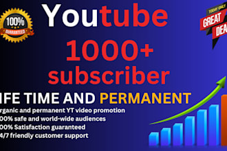 give you 1,000 or 1k youtube subscribers fast organically