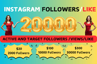 increase your instagram page followers from usa 1000 number super fast