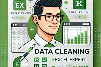 clean, organize, format, and automate your excel or CSV data professional