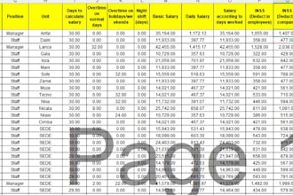 do any task related to payroll