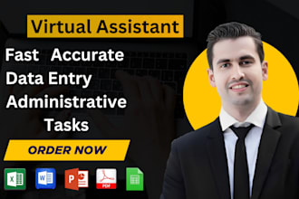 do accurate data entry,web research at budget friendly price