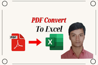 do PDF to excel convert data entry and format