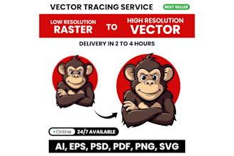 do a professional vector tracing, replicate, and logo to vector