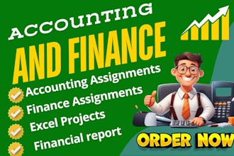 write financial analysis reports and accounting assignments in microsoft excel