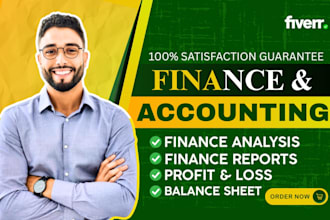 write financial analysis reports and accounting assignments in microsoft excel