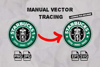 provide professional manual vector tracing for your designs