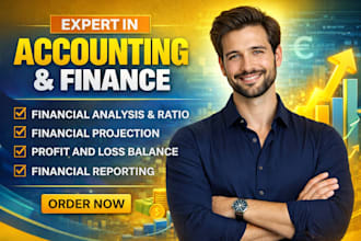 do finance and accounting assignments in excel, financial analysis and reports