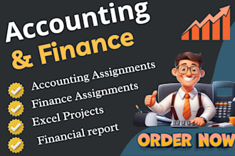 do finance and accounting assignments in excel, financial analysis and reports