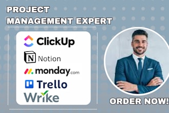 setup clickup, notion, trello, wrike, monday miro hive, asana project management