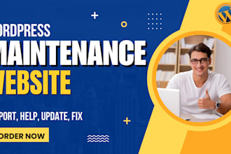 do website maintenance as website manager, support help update wordpress website