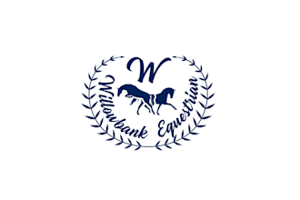 make express intelligence boutique logo