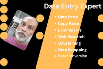 do data entry, copy paste, web research and typing job