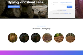 do your angular projects website development