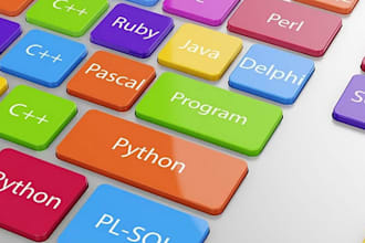 be your programmer and help you in python, java and c coding problems