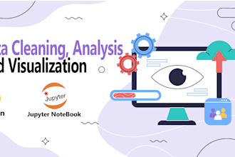 perform data cleaning, analysis and visualization using python