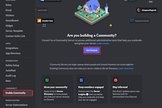 create and setup a perfect discord server in just 2 hours