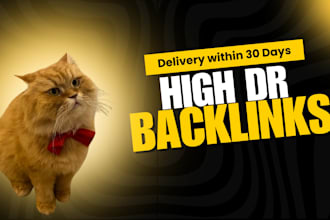 link building  high DR SEO backlinks