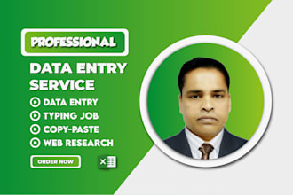 do  copy paste typing web research shopify data entry