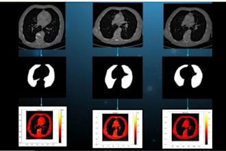 do medical image processing using matlab or python