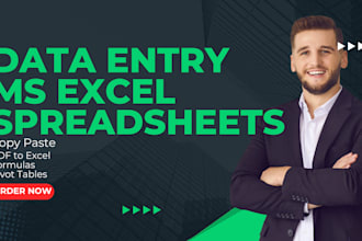 professional excel data entry services