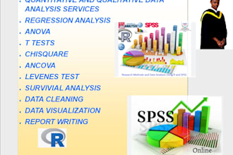 analyze qualitative, quantitative survey data and report using spss excel r tool