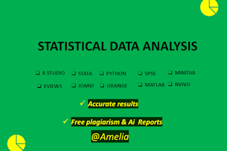 do statistical data analysis using r, stata, python