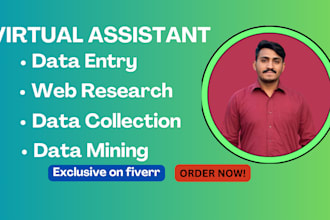 be your virtual assistant for data entry, data mining, copy paste, web research