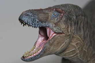 model 3d animal 3d dragon model 3d dinosaur model dog model for stl 3d printing
