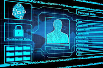 do osint investigation on any target you provide and report