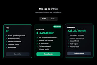 complete your no code projects into running businesses