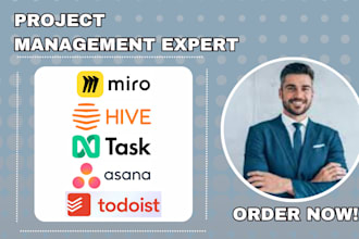 ntask asana todoist airtable teamgantt smartsheet freedcamp basecamp nifty coda
