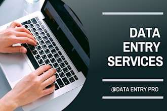 an expert with data entry with super precise results and client oriented