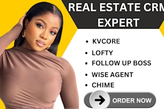 set up and manage real estate CRM lofty, kvcore, follow up boss idx website