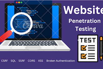 website security and penetration testing with a report