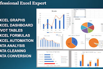 do excel and dashboard, pivot, chart and graph