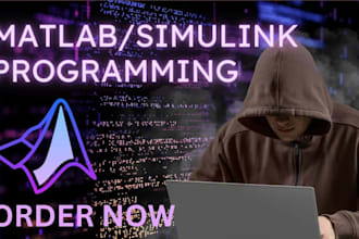 do matlab programming, simulink, and signal processing